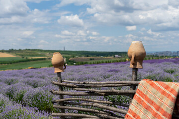 Wicker fence made of branches with a ceramic jug in a lavender field, Colonita, Moldova