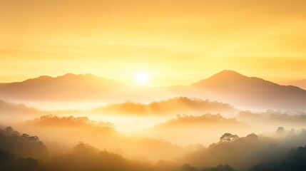 Hazy Golden Dusk Over Rainforest