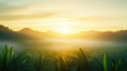 Dreamy Jungle Sunset With Ethereal Light