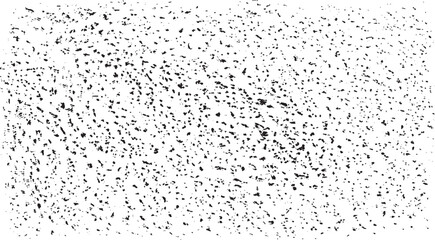 Abstract vector noise. Small particles of debris and dust. Distressed uneven background. Grunge with fine grains isolated on white background. Vector illustration. EPS10.