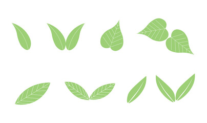 Green leaves design vector illustration