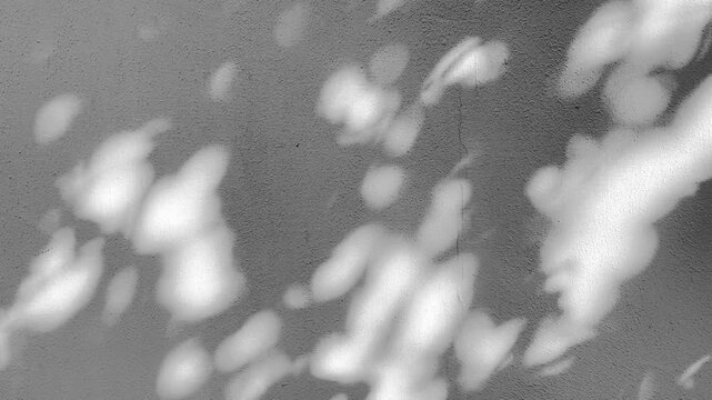 light and shadow grey wall background	
