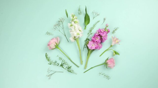 Widescreen Growing Spring Flowers Animation