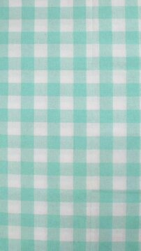 Portrait Gingham Spring Flowers Animation