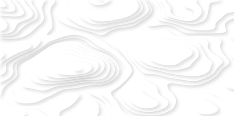 Fototapeta premium Luxury diamond creative abstract background vector natural shadow papercut web topography map spiral line. white light dynamic smooth 3d papercut texture background. 