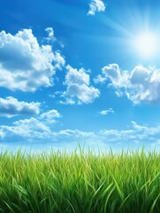 Obraz premium Beautiful spring or summer background with green grass and blue sky
