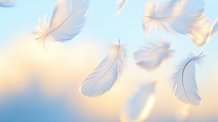 Naklejka premium Fluffy Feathers Dancing Gracefully In Warm Sunlight.