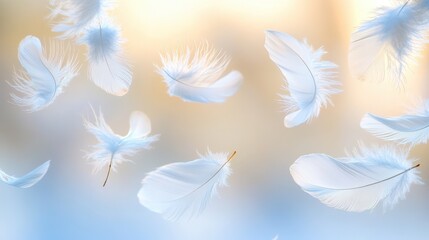 Naklejka premium Delicate Blue Feathers Float In A Tranquil Scene