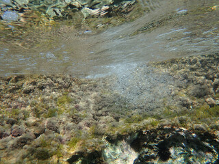 bubbles, bubble, water, underwater, sea, air, deep, undersea, under, background, wave, liquid, clear, clean, ocean, nature, texture, oxygen, blue, white, effect, transparent, foam, aquarium, aqua.