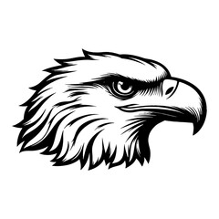 Detailed Eagle Head Front View Kawaii Chibi Cute in Black and White Outline Line Art Drawing