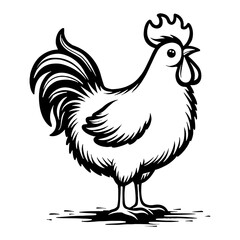 Cute Chibi Kawaii Rooster Standing with Detailed Black and White Outline Line Art Drawing