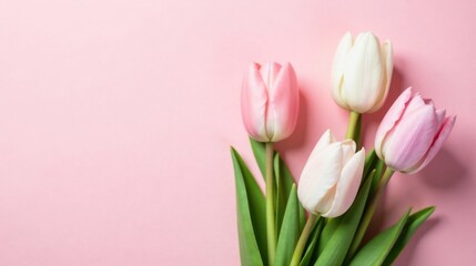 A delicate bouquet of pastel tulips rests on a soft pink background, creating a serene and elegant springtime image.