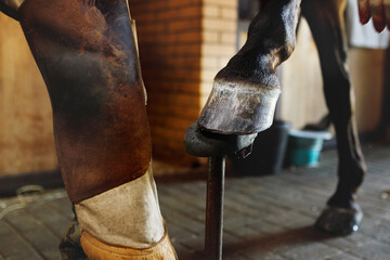 Close-up horse's hoof and blacksmith's foot in stable
