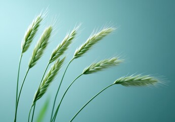 Fototapeta premium Delicate Green Grass Stems Gently Bending Against a Soft Blue Background in a Calm and Serene Atmosphere of Nature's Beauty