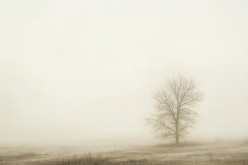 Subtle texture of misty light blending with faded neutral tones creating a tranquil effect