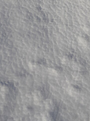 White snow. Snow-white vertical winter background. Dense snow cover. Winter frosty day. Corrugated surface. Cold natural background. Reflection of snowflakes.