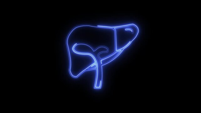 Glowing neon Liver icon isolated on black background. HD Video motion graphic animation