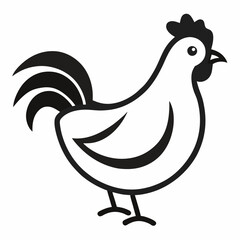 chicken vector
