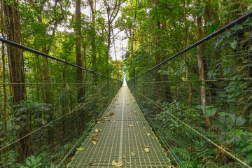 Hanging bridge in Monteverde Cloud Forest on a foggy day- Costa Rica