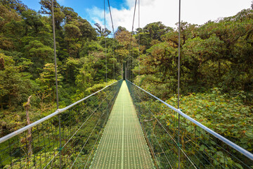 Hanging bridge in Monteverde Cloud Forest on a sunny day- Costa Rica