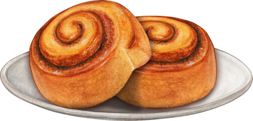 Watercolor hand drawn realistic cinnamon roll
