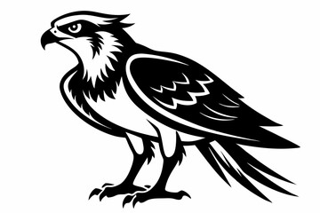 osprey bird silhouette