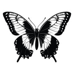 butterfly coloring page design