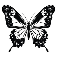 butterfly coloring page design