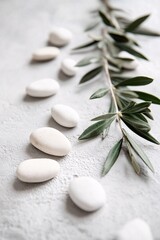 Fototapeta premium Olive branch with white stones on textured neutral background, natural minimalist composition with copy space