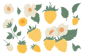 Yellow raspberry and flower illustrations showcasing nature s beauty in a colorful design layout