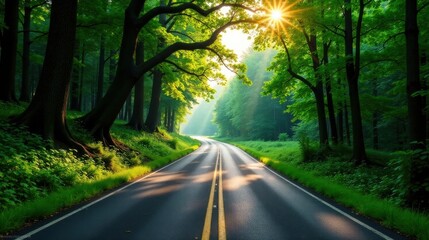 Obraz premium Sunlit Forest Road Winding Through Lush Greenery, a Scenic Driveway Beckoning to Adventure