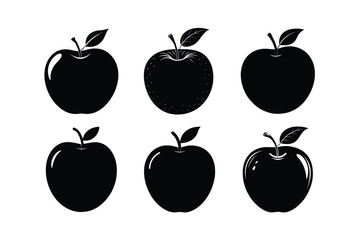 Apple – Malus domestica fruits vector illustration