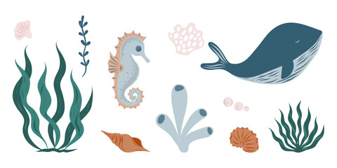 Marine animals, corals, plants, shells. Marine inhabitants of the underwater world. Underwater set, seahorse, whale