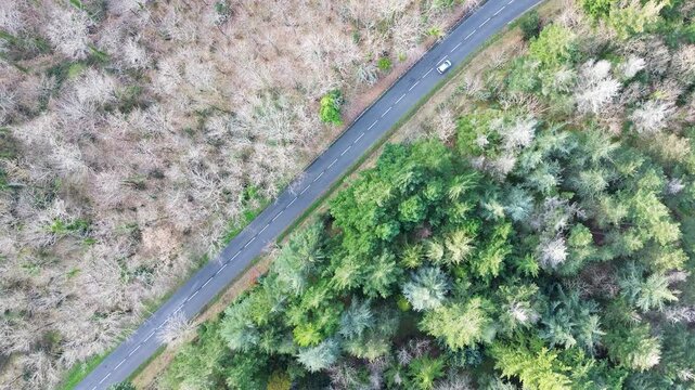 Route de montagne avec for&ecirc;t
