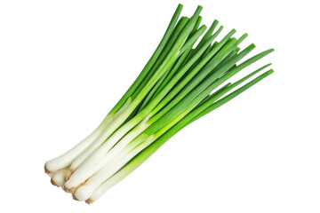 Fresh green onions for cooking and garnishing, cut out
