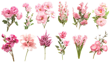 Set of Pink Roses Isolated on Transparent Background