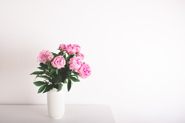 Beautiful bouquet of pink peony flowers in full bloom in vase against white background. Copy space for text.