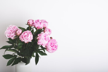 Beautiful bouquet of pink peony flowers in full bloom against white background. Copy space for text.