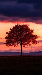 Obraz premium Majestic sunset tree silhouette