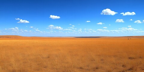 Fototapeta premium Serene African Savanna Landscape Golden Grass Under Blue Sky with Fluffy Clouds
