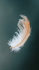 Obraz premium A Feather of Freedom: Capturing the Essence of Liberation