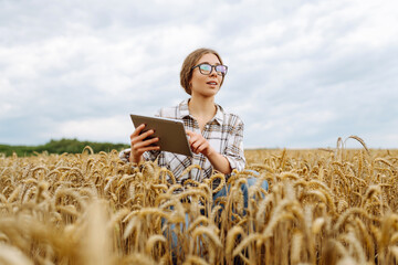 Experienced female farmer with a tablet in her hands examines golden eared wheat. Female agronomist...