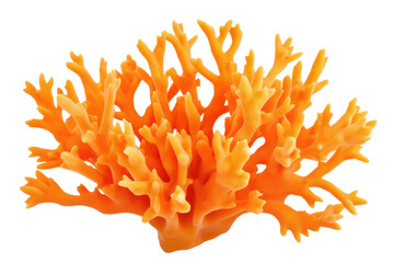 Vibrant orange coral branch for marine decoration, cut out