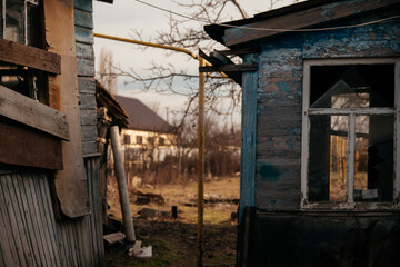 mimosa at the sawmill