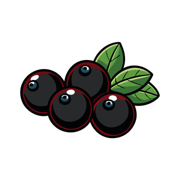 black berries with green leaves clip art preview
