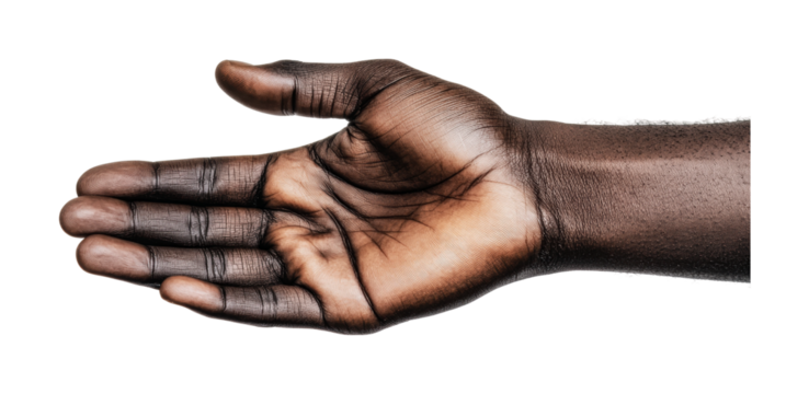 African male adult hand open palm gesture on isolated white background, cut out