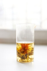 Glass beaker with blooming flower tea infusion against soft light background.