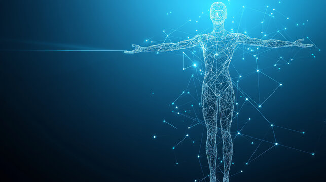 Abstract digital human body. Polygonal wireframe silhouette. Low poly anatomy blue background. Technology futuristic man or woman model. 3D vector illustration consists of thin lines, connected dots.