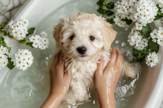 a puppy taking a bath in a tub surrounded by flowers.