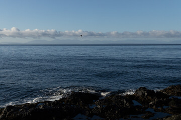 Ocean horizon with mountain range, blue sky, clouds, bird, and coastal rocks